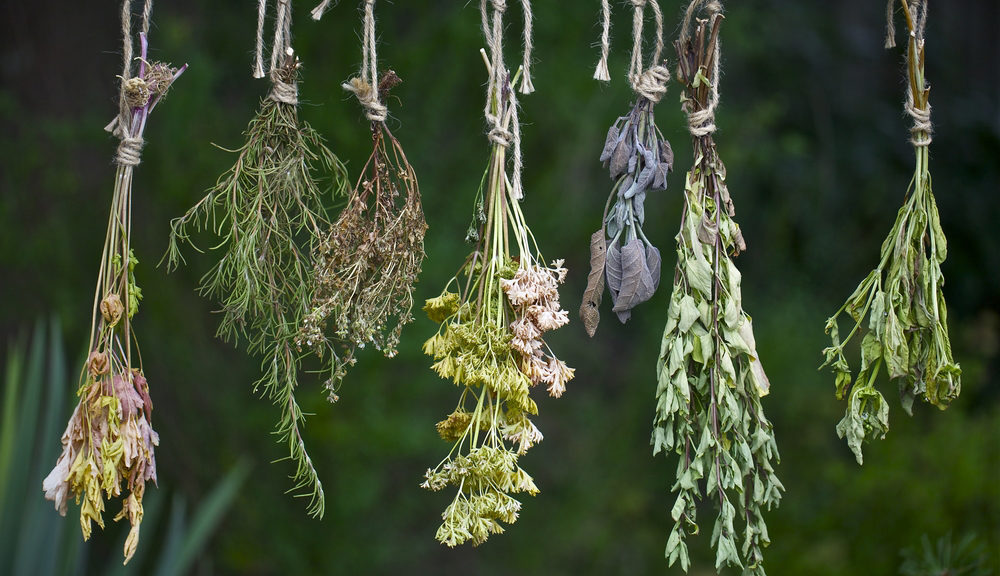 Cretan herbs
